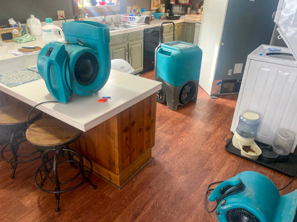 Carpet water damage restoration in Oak Point, TX