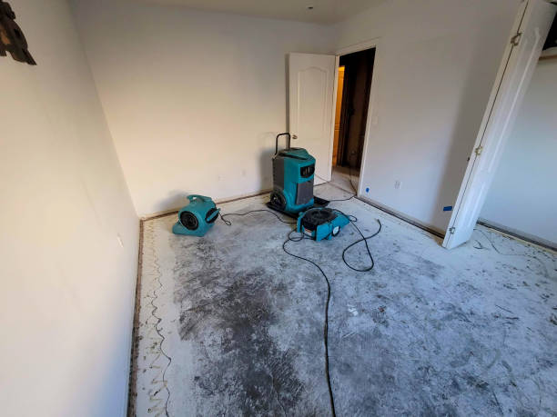 Best Sewage cleanup and water damage restoration  in Oak Point, TX