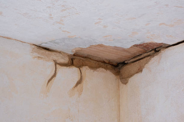 Best Water damage restoration company  in Oak Point, TX