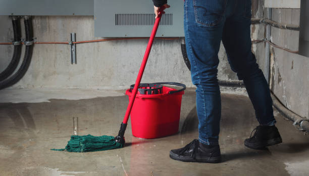 Best Flood restoration services  in Oak Point, TX