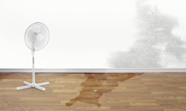 Best Flood damage cleanup  in Oak Point, TX