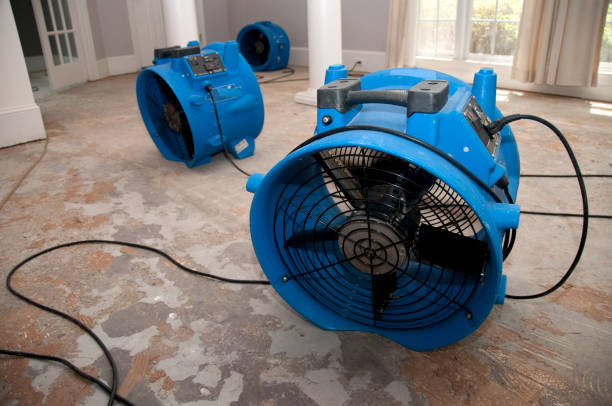 Oak Point, TX Water damage restoration Company