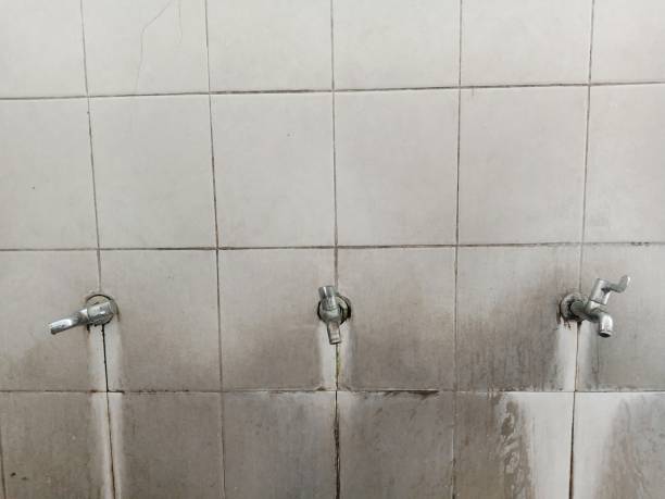 Best Professional water damage repair  in Oak Point, TX